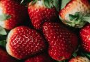 Dyrk smagfulde jordbær hjemme med online-bestilling